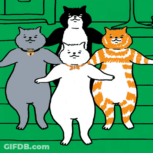 Cats Catdance GIF