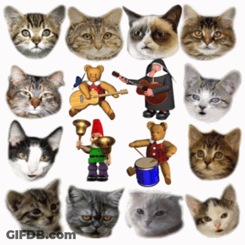 Cats Chorus Singing Cats GIF