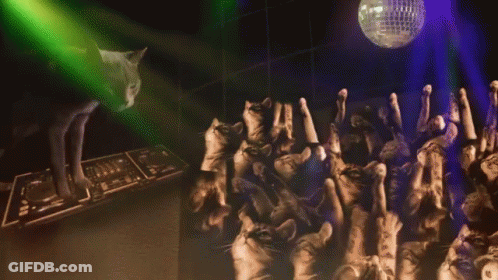 Cats Dancing At Disco Party GIF