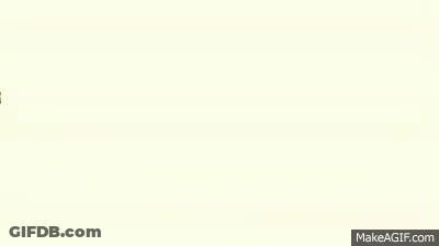 Cats GIF