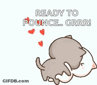 Cats Holding Hands Ready To Pounce GIF