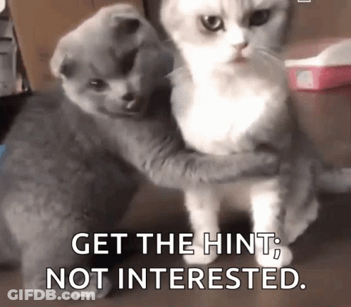 Cats Hugging Get The Hint Not Interested GIF