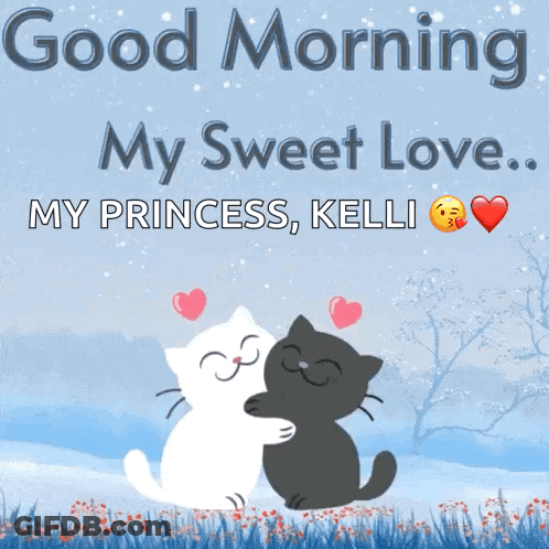 Cats Hugging Good Morning My Princess GIF