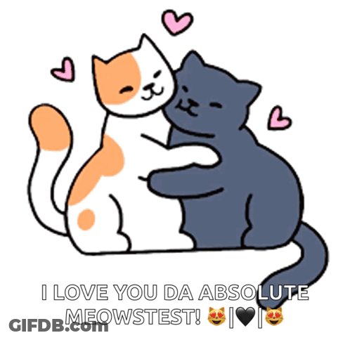 Cats Hugging Saying Love You GIF