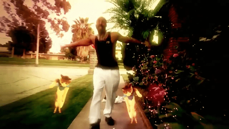 Cats Jump Funny Street Dance GIF