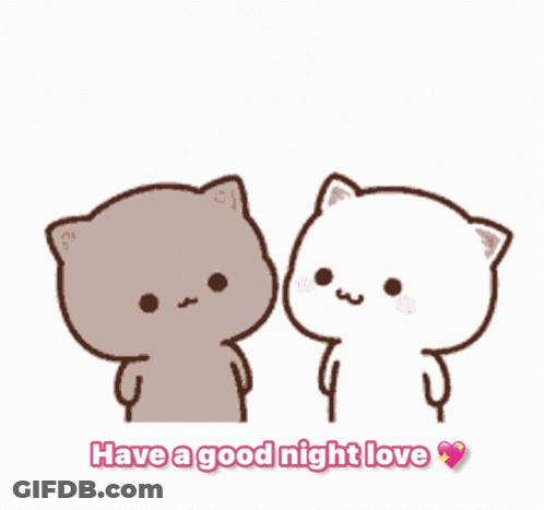 Cats Kissing Saying Have A Good Night Love GIF
