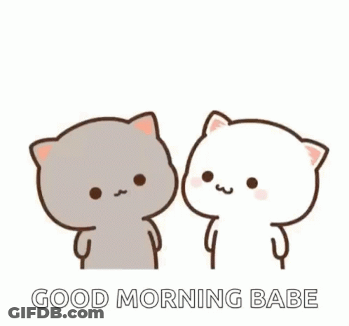 Cats Kissing With Heart GIF