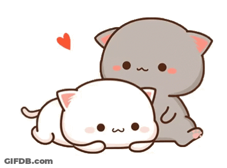 Cats Laying Next To Each Other GIF