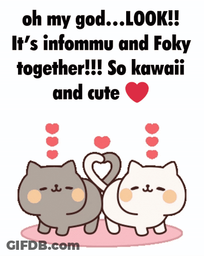 Cats Making Heart With Tails GIF