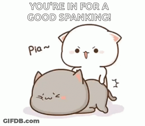 Cats Playing One Spanking Other GIF