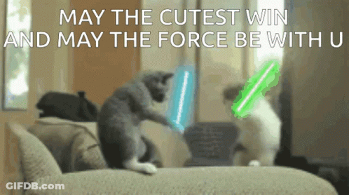 Cats Playing With Lightsabers May The Cutest Win GIF