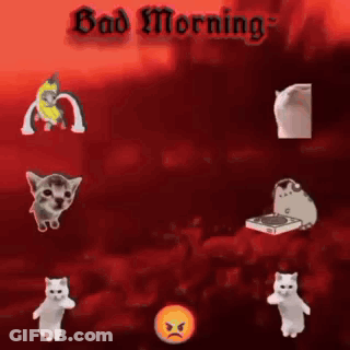 Cats Saying Bad Morning GIF