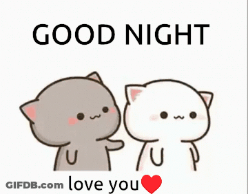 Cats Saying Good Night Love You GIF