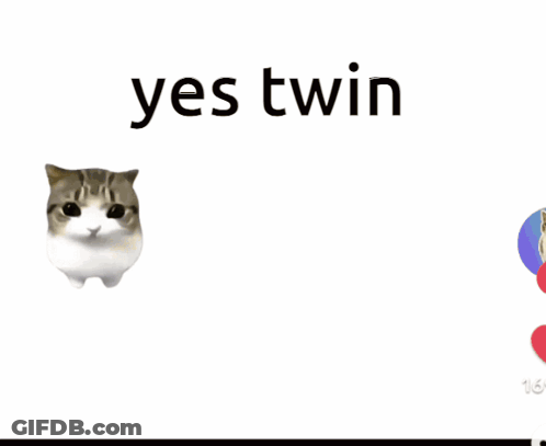 Cats Saying Yes Twin GIF