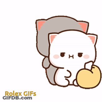 Cats Sitting Next To Each Other With Apple GIF