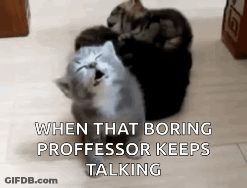 Cats Sitting On Each Other Bored GIF