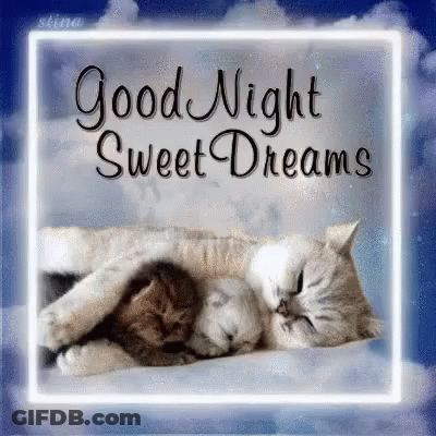Cats Sleeping With Good Night GIF
