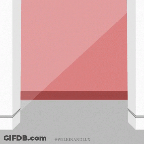 Cats Welcome Home GIF