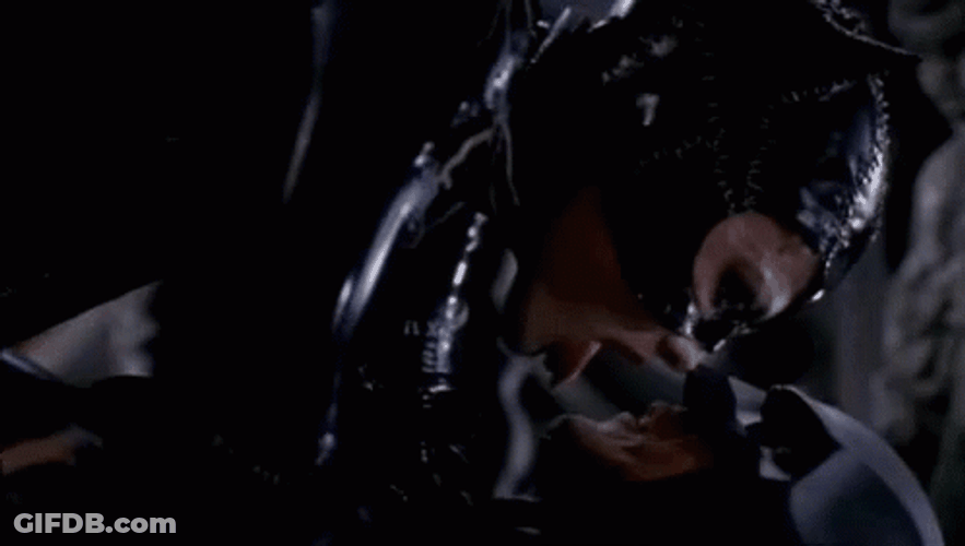 Catwoman Being Romantic GIF