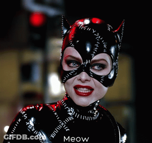 Catwoman In Mask GIF