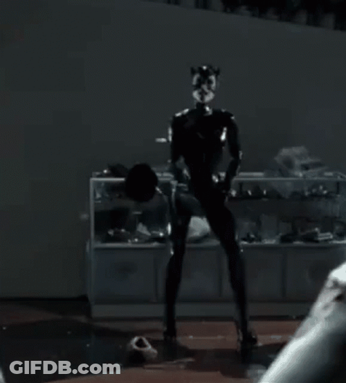 Catwoman On Action GIF