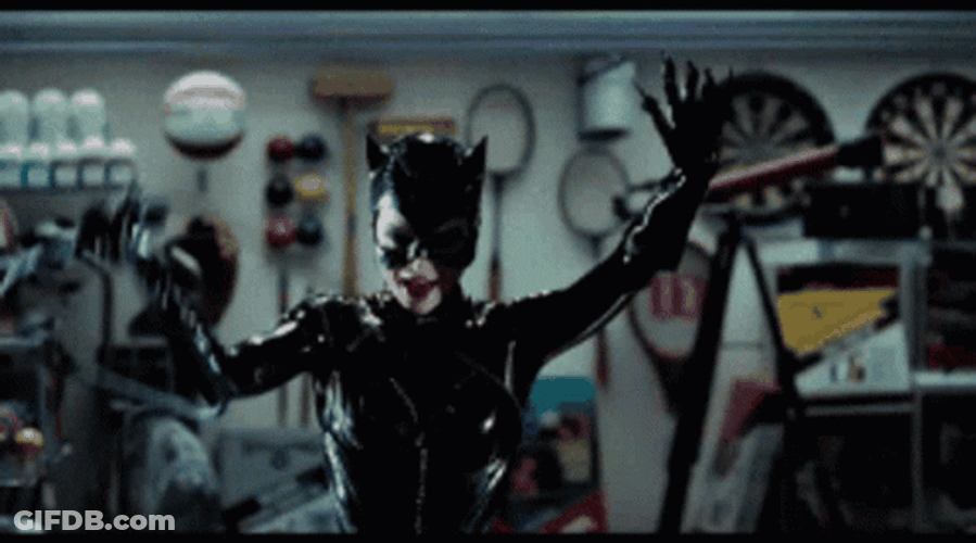 Catwoman On Attack GIF