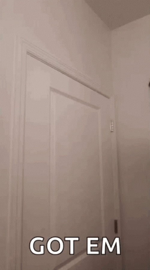 Caught Em Got Em GIF