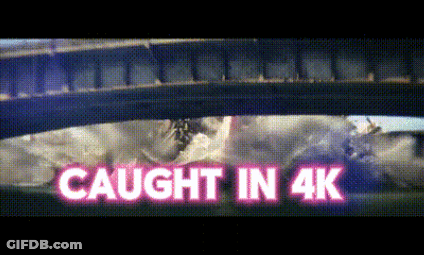 Caught In 4K Godzilla Destruction GIF