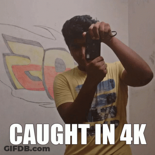Caught In 4K Snapping Camera Flashes GIF