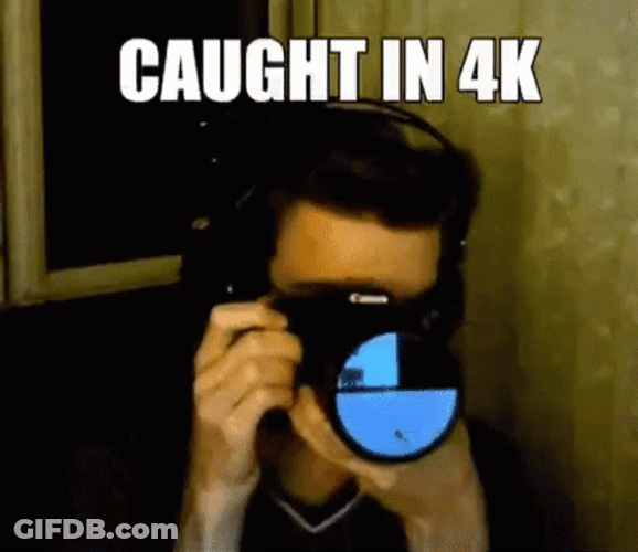 Caught In 4K Snapping Photograph GIF