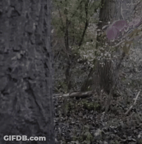 Caveman Suddenly Peeks Behind The Tree GIF