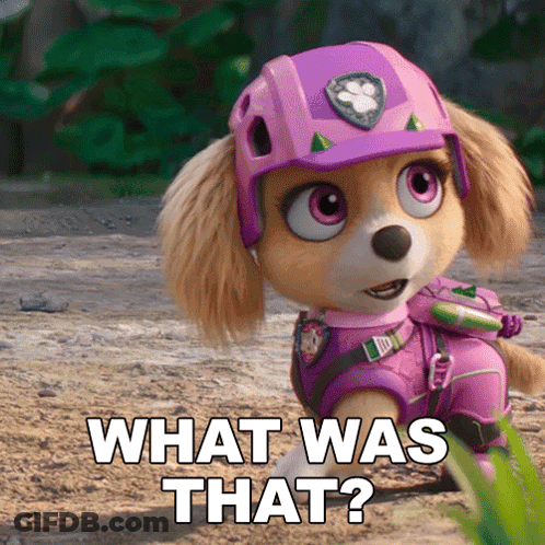 CBS Football Game Touchdown GIF