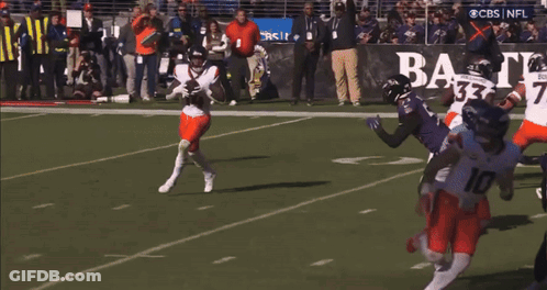 CBS NFL Broadcast Vikings Vs Ravens GIF