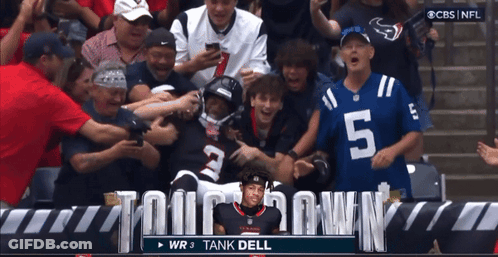 CBS NFL Broadcast WR 3 Tank Dell Surrounded By Fans GIF