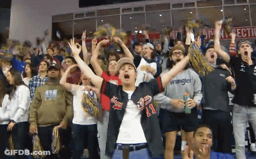 Cedar Pointe Real Estate Ad Behind Crowd Of Fans GIF