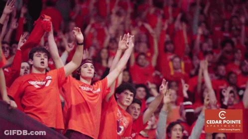 Cedar Pointe Real Estate Ad Behind Crowd Of Fans GIF