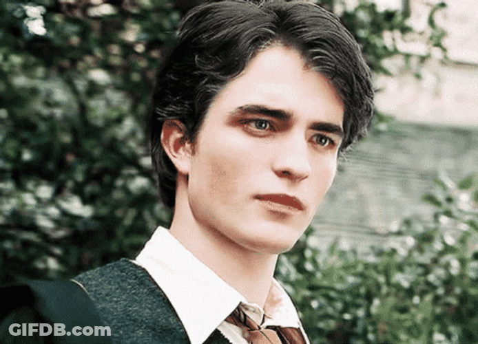 Cedric Diggory Clueless Face GIF