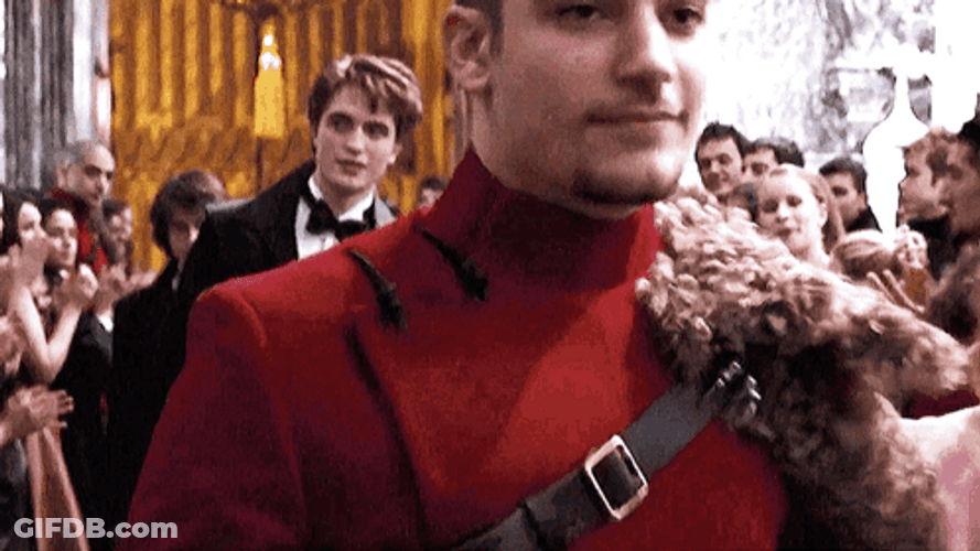Cedric Diggory Marriage GIF