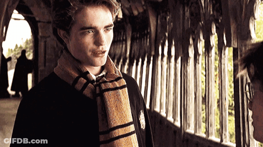 Cedric Diggory Talking With Harry Potter GIF