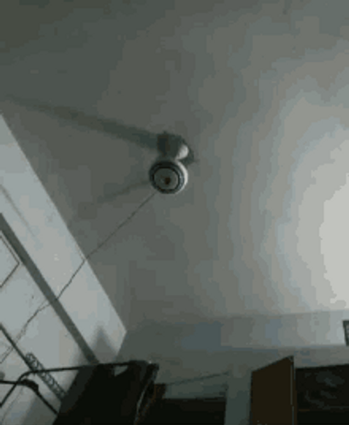 Ceiling Fan Blades Spinning Fast GIF