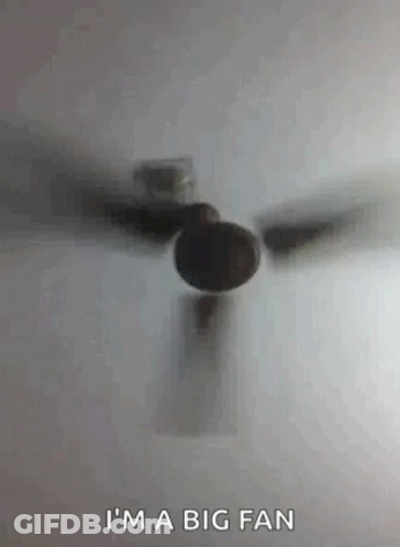 Ceiling Fan Saying I'm A Big Fan GIF