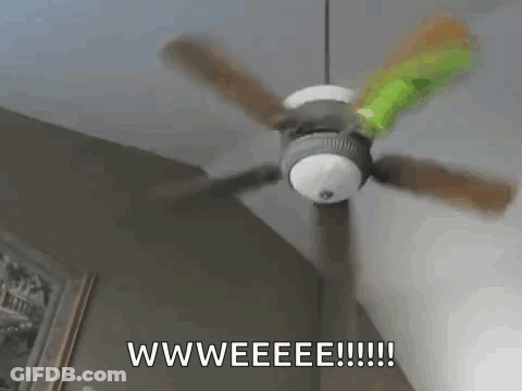 Ceiling Fan Spinning With Wweeee GIF