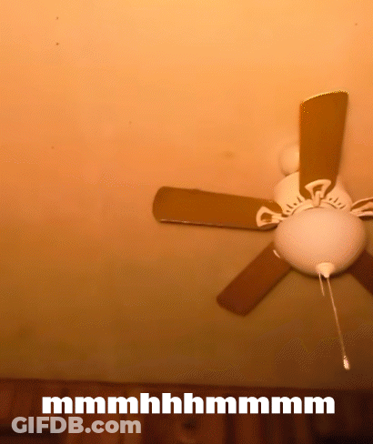 Ceiling Fan With Mmmmhhhmmmm GIF