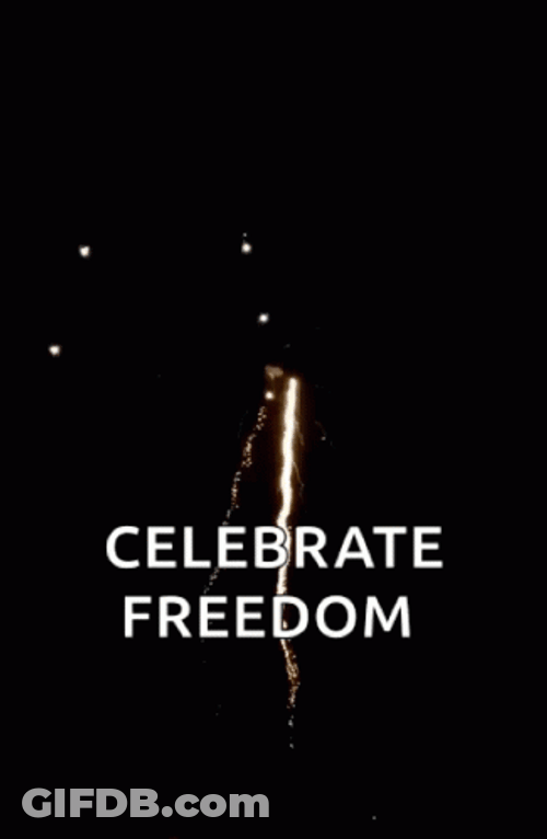 Celebrate Freedom Fireworks Fourth Of July GIF