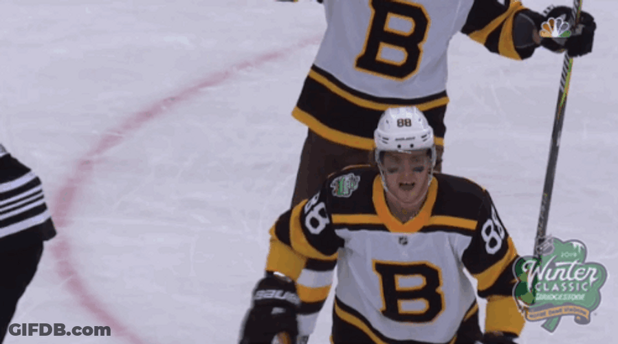 Celebrate Ice Bruins Hockey GIF