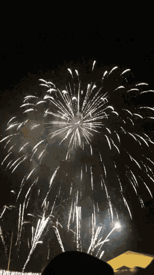 Celebrate New Year GIF
