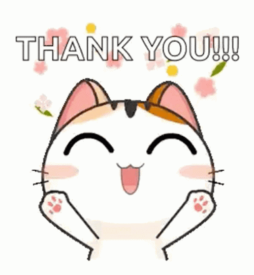 Celebrating Thank You Cat Cartoon GIF