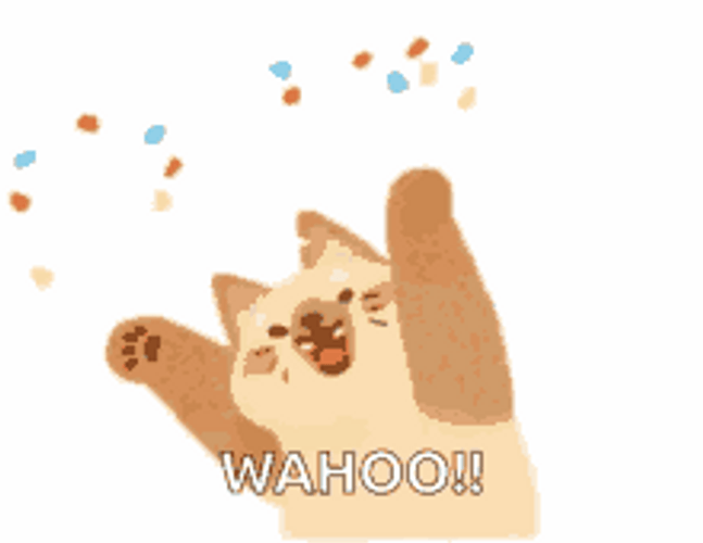 Celebration Cat Wahoo Confetti GIF