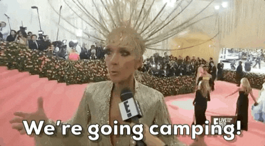 Celine Dion Were Going Camping GIF