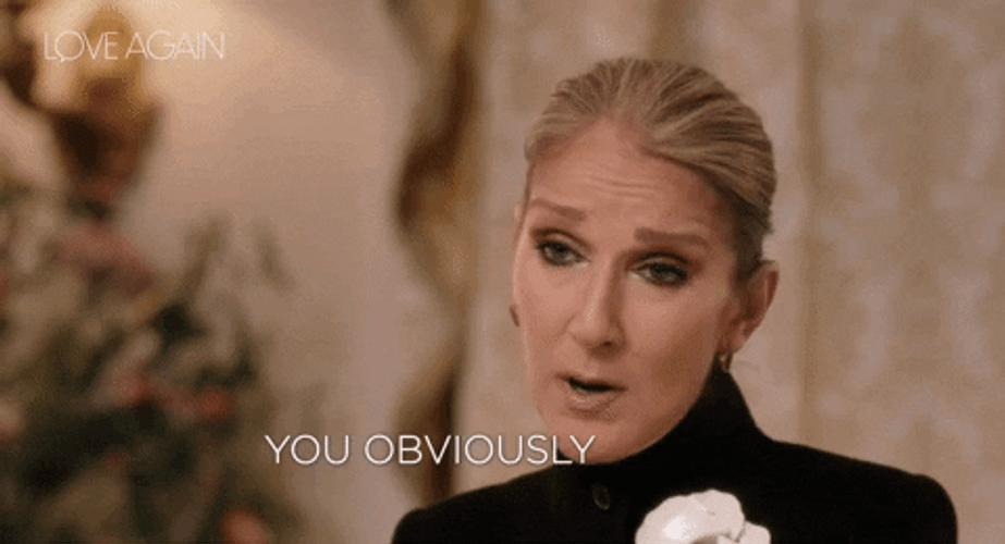 Celine Dion You Obviously Know Nothing About It GIF